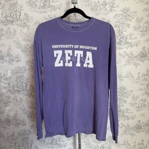 Comfort Colors Zeta Tau Alpha Houston Purple Long Sleeve Top
